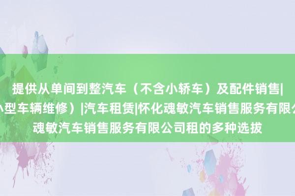 提供从单间到整汽车（不含小轿车）及配件销售|二类汽车维修（小型车辆维修）|汽车租赁|怀化魂敏汽车销售服务有限公司租的多种选拔